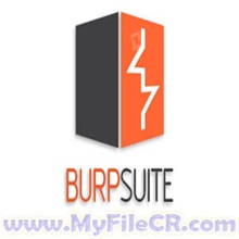 Burp Suite Professional 2024.6.6 Repack Software