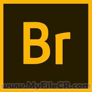 Adobe Bridge 2024 (v14.1.2.300) PC Software Adobe Bridge 2024 (v14.1.2.300) PC Software