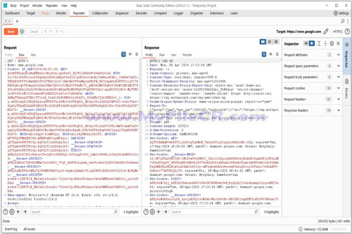 Burp Suite Professional v2025.1.1 For PC Burp Suite Professional v2025.1.1 For PC