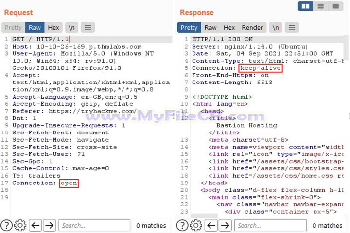 Burp Suite Professional v2025.1.1 Free Download Burp Suite Professional v2025.1.1 Free Download