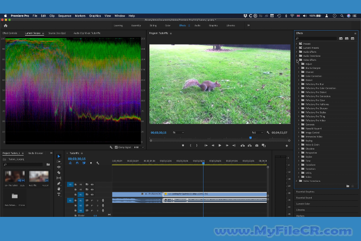 Adobe Premiere Pro CC 2018 v12.1.2.69 Free download
