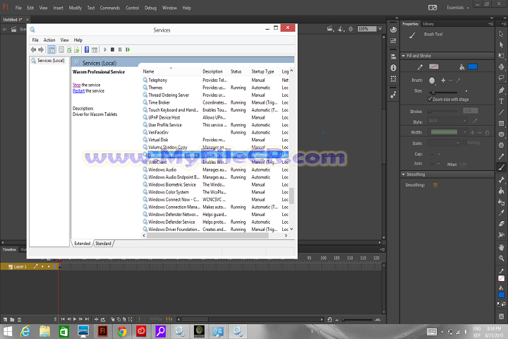 AdobeFlashProfessionalCC2015 v15.0.1.179 [Latest Version]