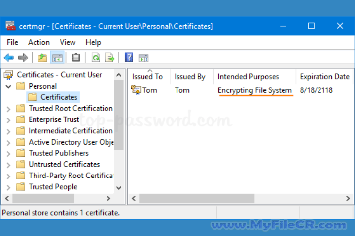 Certificate Manager 2025 v18.10 for PC Certificate Manager 2025 v18.10 for PC