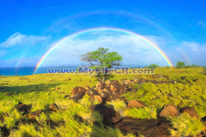 Exposure Software Snap Art 2025 v4.1.4.0 [Free Download]