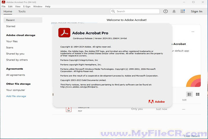 Adobe Acrobat Pro 2025 v25.1.20531 Full Version