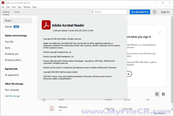 Adobe Acrobat Pro 2025 v25.1.20531 PC Software