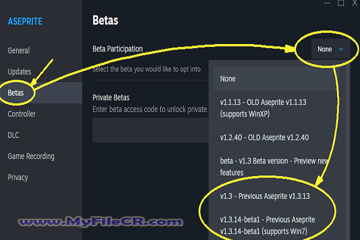 Aseprite 2025 v1.3.14.2 [Pc Software]