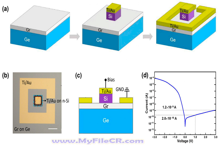 DP Animation Maker 2025 v3.5.40 [Latest Version]
