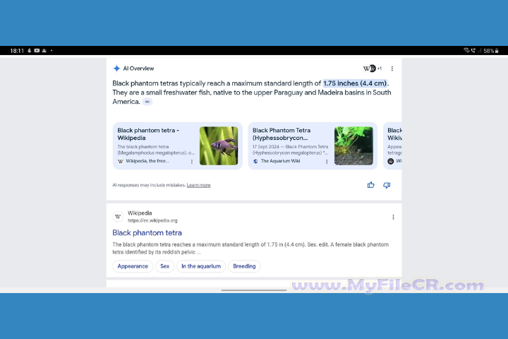 Google Chrome Canary 2025 v140.0.7316.0 For PC Google Chrome Canary 2025 v140.0.7316.0 For PC