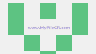 Rapid RAW 2025 v1.3.8 [Latest Software]