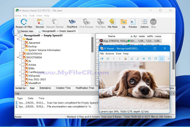 Starus File Recovery 2025 v7.1 for pc