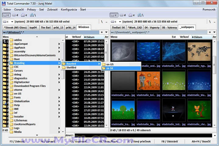 Total Commander 2025 v11.55 [Pc Software]