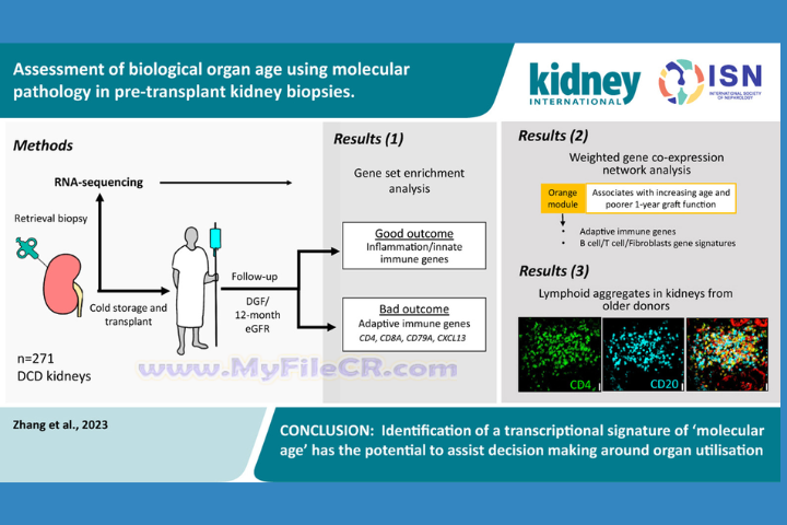 Seagate Toolkit 2025 v2.34.0.30 for pc Seagate Toolkit 2025 v2.34.0.30 for pc