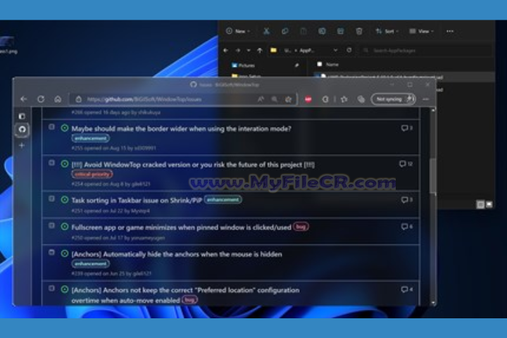 WindowTop Pro 2025 v5.28.4 free download WindowTop Pro 2025 v5.28.4 free download