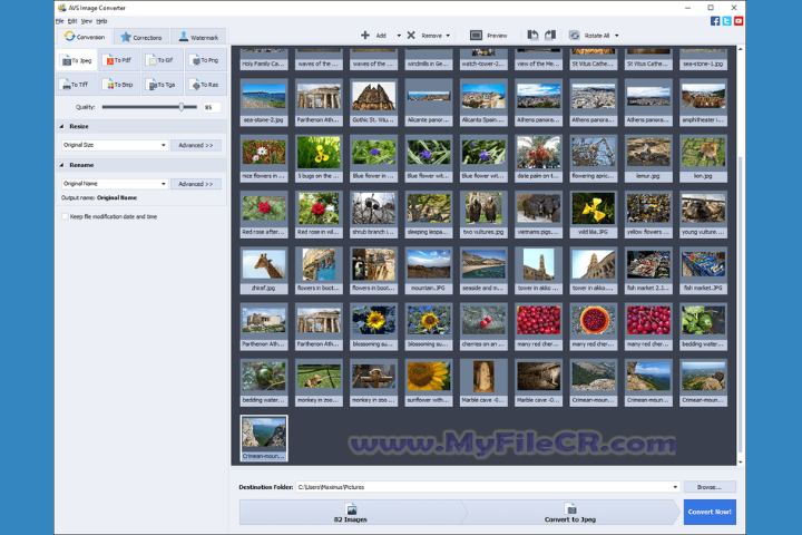 AVS Image Converter 2025 v7.1.3.4 full version