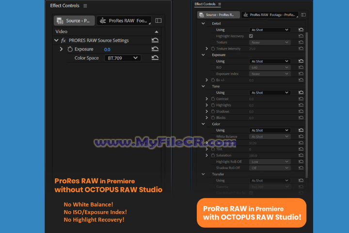 OCTOPUS RAW Studio Pro 2025 v1.0.2 free download