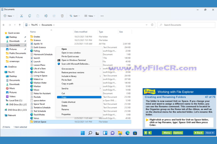 Professor Teaches Windows 11 2025 v4.1 free download