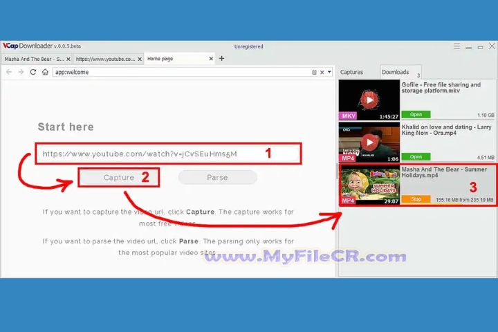 VCap Downloader Pro 2025 v0.1.36.6705 for pc