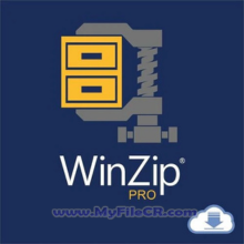WinZip Pro 2025 v29.0.16416 [Latest Software]