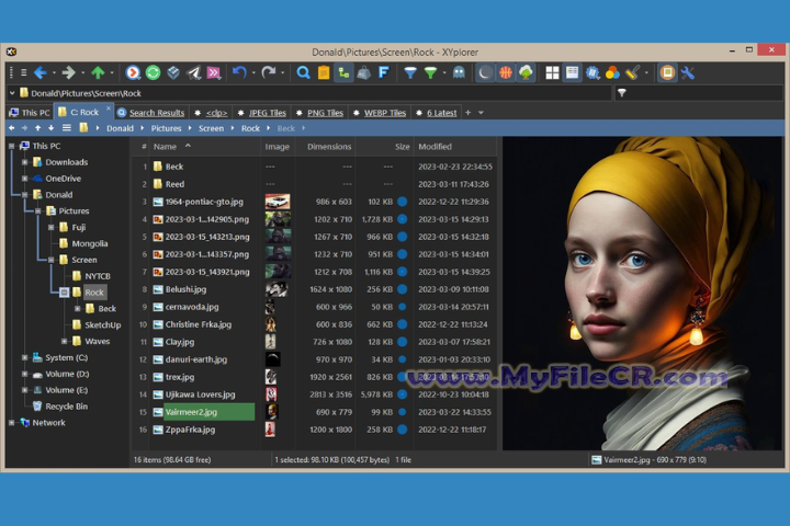 XYplorer Free 2025 v28.00.0100 free download