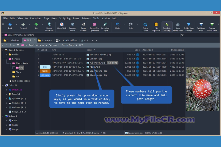 XYplorer Free 2025 v28.00.0100 full version