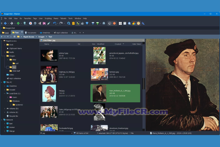 XYplorer Free 2025 v28.00.0100 for pc