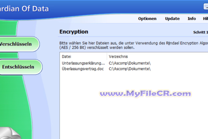 Guardian Of Data Professional 2025 v3.010 for pc