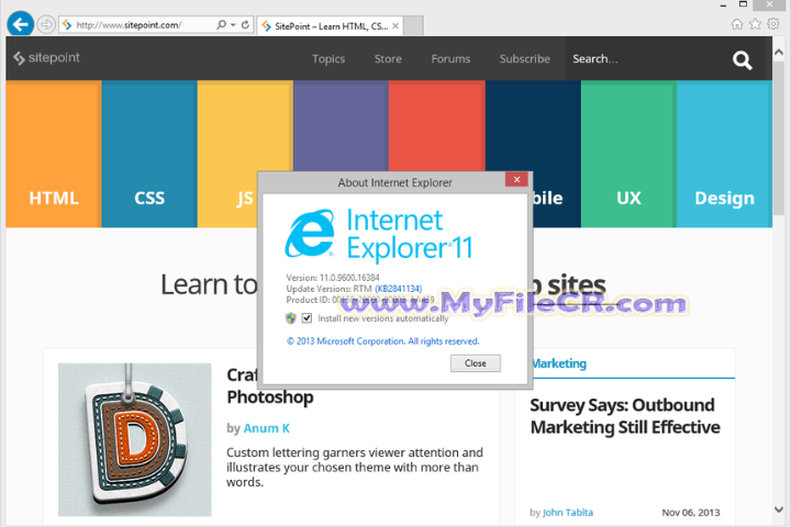 Internet Explorer 11 for IT Professionals and Developers 2025 v6.1 full version