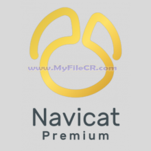Navicat Premium Enterprise 2025 v17.3.6 [Latest Software]