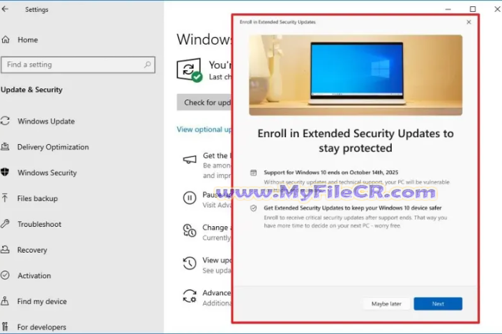 Windows 10 Consumer ESU Enrollment 2025 v0.0.8  full version