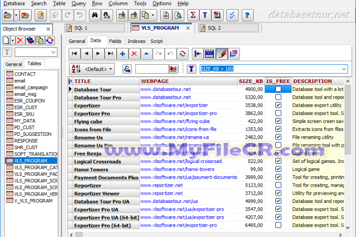 Database Tour Pro 2025 v11.5.9.707 full version