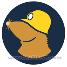 Mullvad VPN 2025 v1.0 [Latest Software]