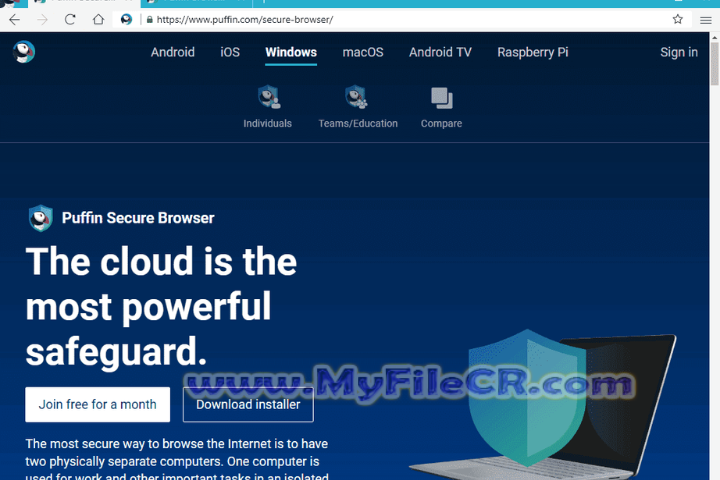 Puffin Secure Browser v10.1.1.609 full version