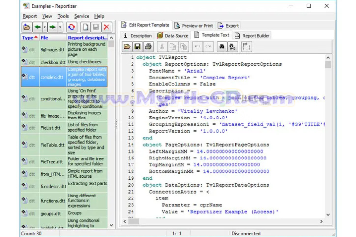Reportizer 2025 v6.6.1.405 for pc