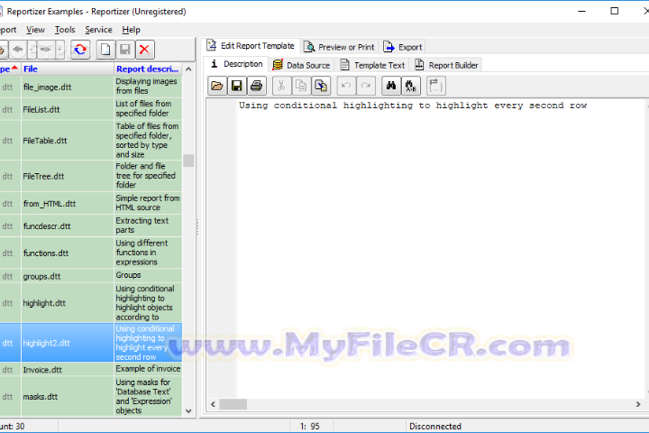Reportizer 2025 v6.6.1.405 full version