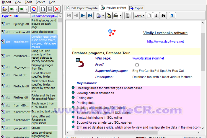 Reportizer 2025 v6.6.1.405 free download