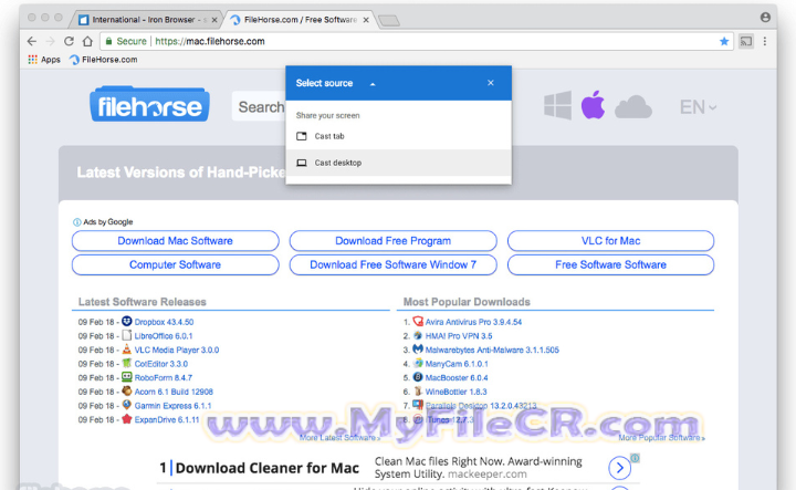 SRWare Iron Browser v1.0 full version