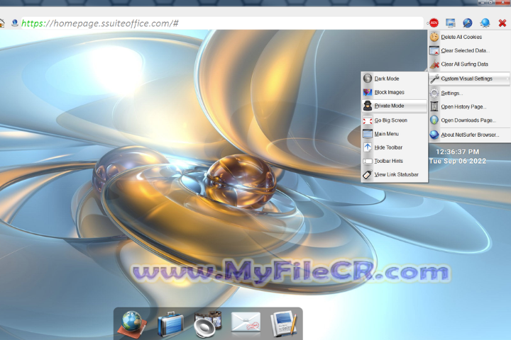 SSuite Net Surfer Extreme v1.8.14.10 free download