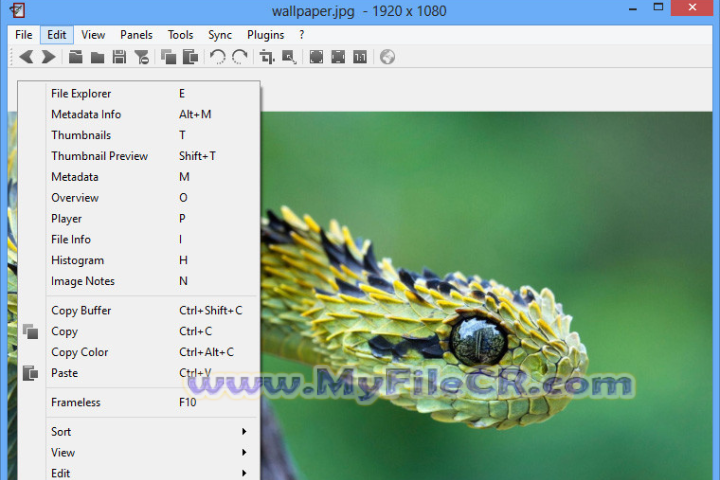 Nomacs-Image Lounge 2025 v1.0 [Latest Software]
