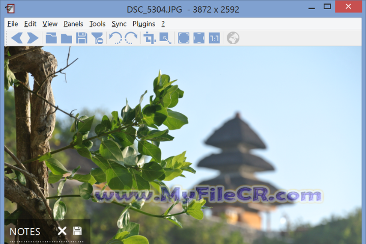 Nomacs-Image Lounge 2025 v1.0 [Latest Software]